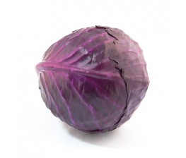 Col Lombarda Ecológica