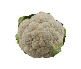 Coliflor Ecológica 