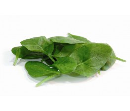 Espinaca