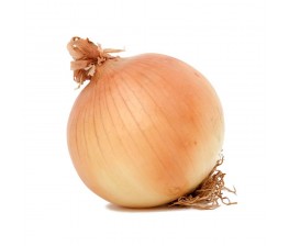 Cebolla Ecológica 
