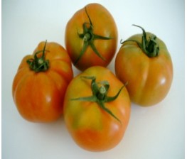 Eco Tomate 