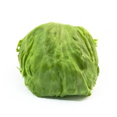 Lechuga Iceberg Ecológica