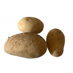 Patata Ecológica 