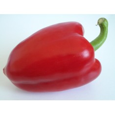 Pimiento Rojo Eco