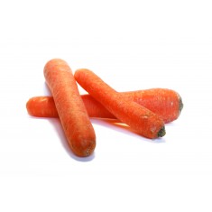 Zanahoria Ecológica 