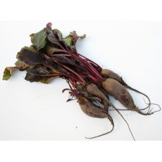 Remolacha Ecológica 